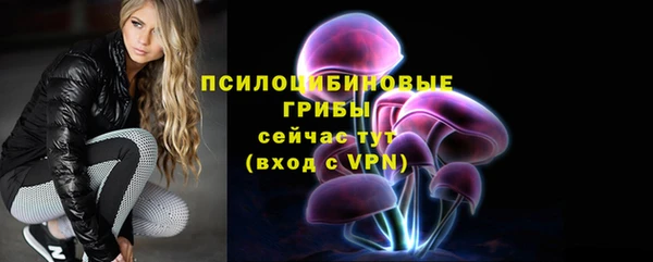 мяу мяу мука Кукмор