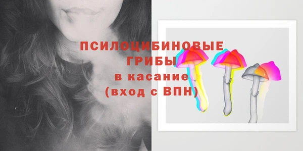 мяу мяу мука Кукмор