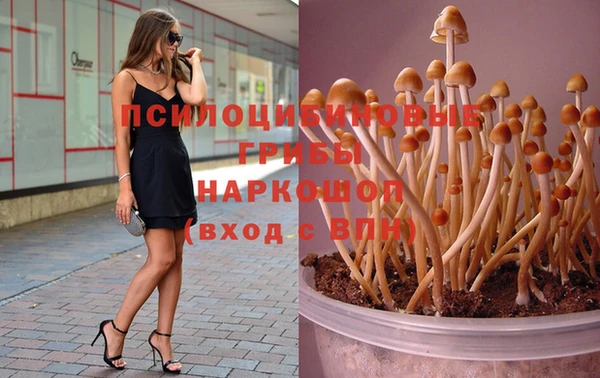 мяу мяу мука Кукмор